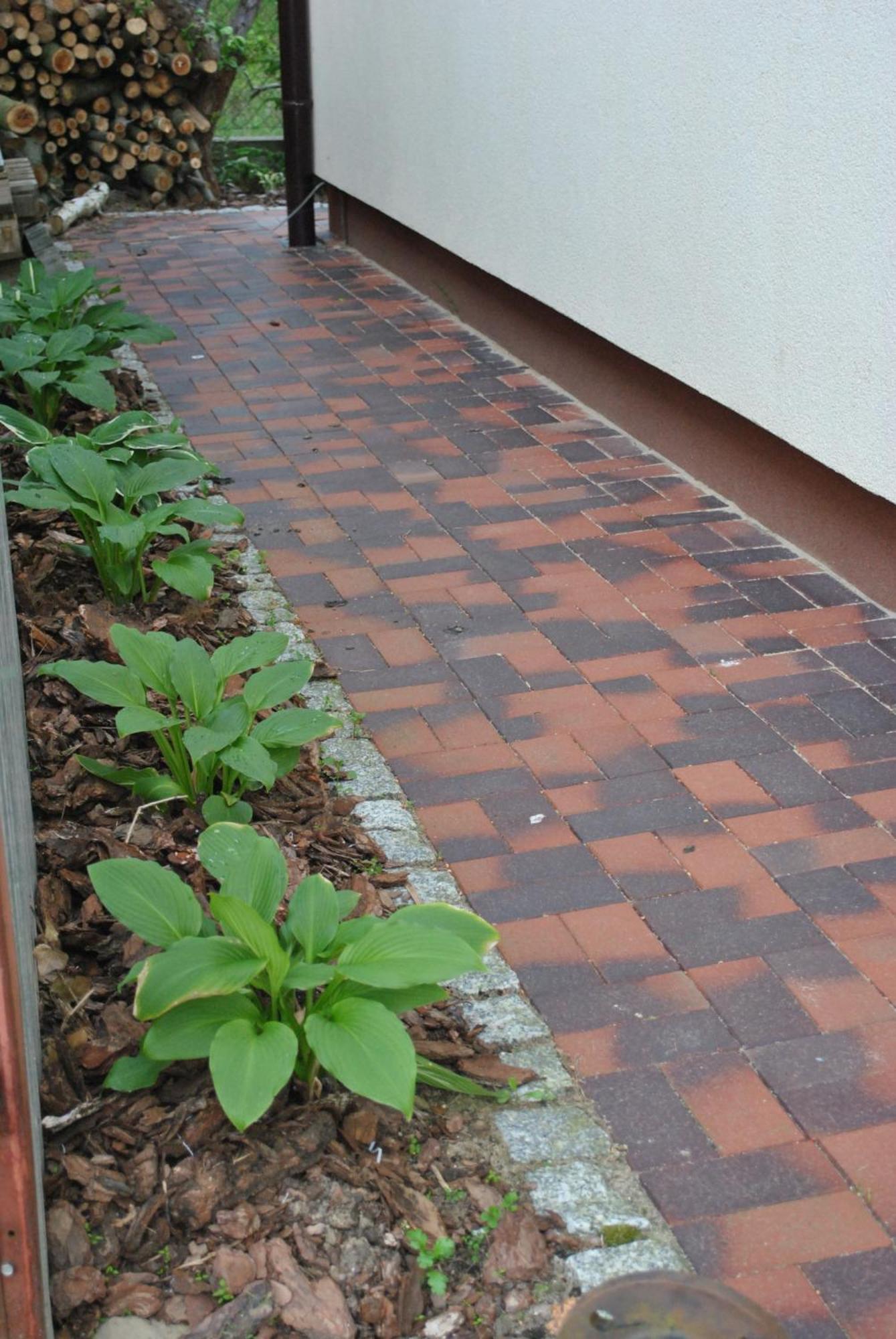 Apartament Wita Niemcz المظهر الخارجي الصورة