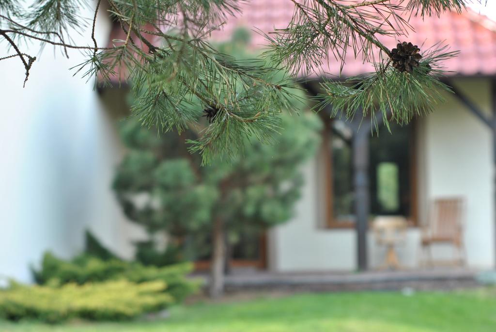 Apartament Wita Niemcz الغرفة الصورة